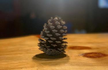 CHALÉ ESTÂNCIA OURO VERDE - Photo 47