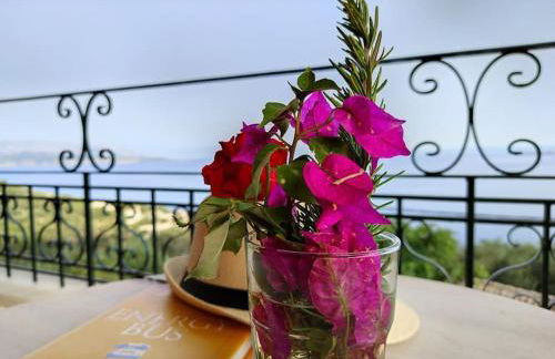 Villa Agnos - Photo 46