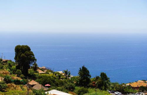 Barreiro View - Photo 26