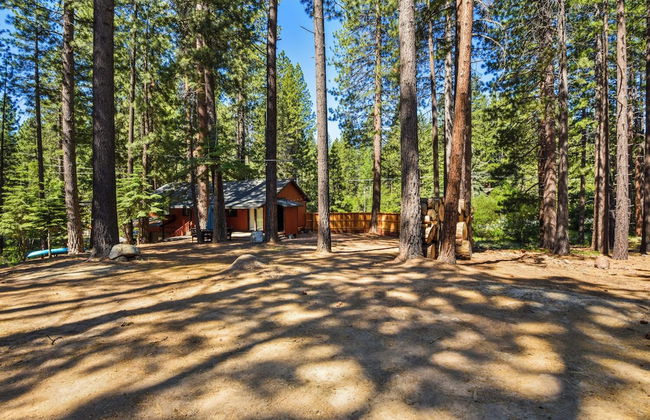 Incline Bliss Dreamy Pet Friendly Escape - Foto 24