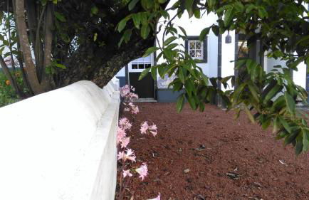 Quinta do Paraizo - Photo 57