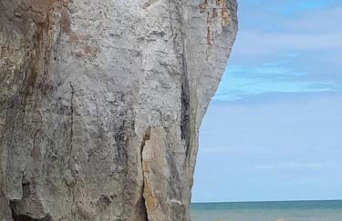 Le Relais du Hibou - Foto 60