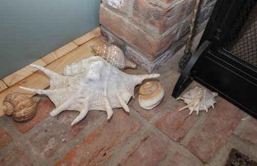 The Woodshed - Foto 13