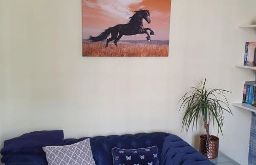 Alastrean Flat - Photo 4