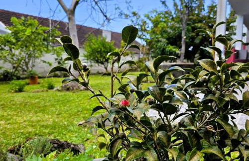 Holiday Home Haus Seixal by Interhome - Foto 27