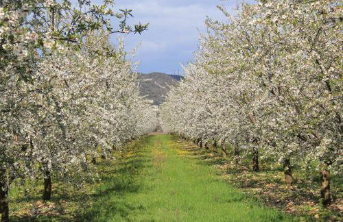Maison Les Chênes - Jacuzzi - Calme & Idéalement situé - Clim - Salle de Jeux - Parking - Foto 80