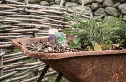 Tannhäuser Mountain Chalet - Foto 39