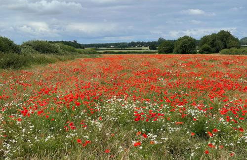 Old Hunstanton luxury by the sea - Foto 16