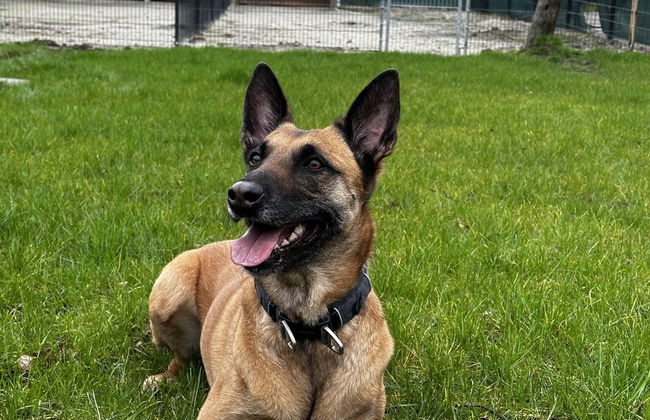 Ferienwohnung am Glück - Foto 18