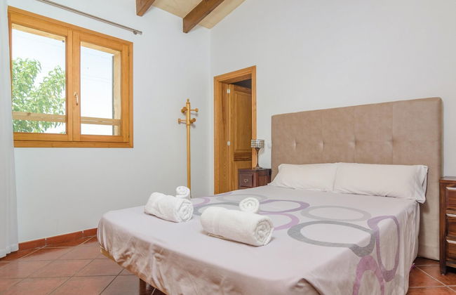 Aubadallet in Vilafranca de Bonany - Foto 20