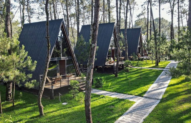 Seaside Chalet Guruli Kokhebi - Photo 30