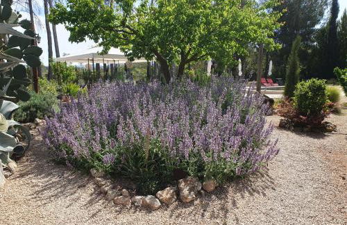 Casa del Riu - Foto 72