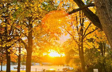 Schöne Aussichten mitten in Berlin - il sole - Photo 27