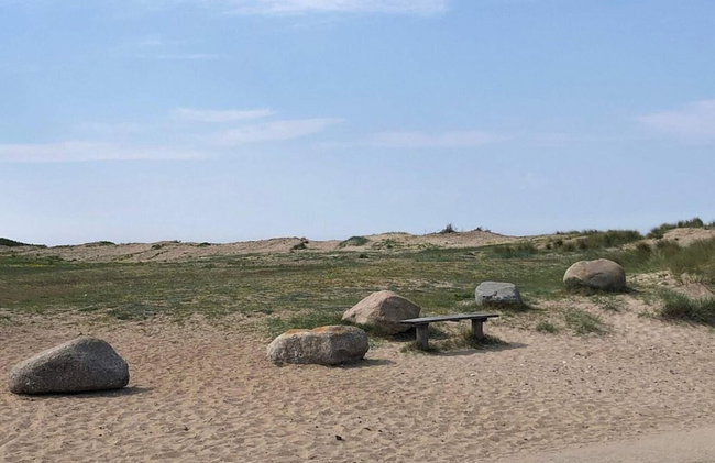 8 Person Holiday Home in Melby - Foto 17