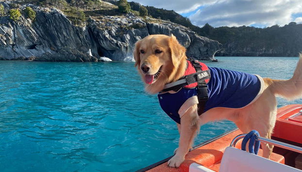 Puerto Sánchez & Marble Caverns Boat Tour - Foto 4