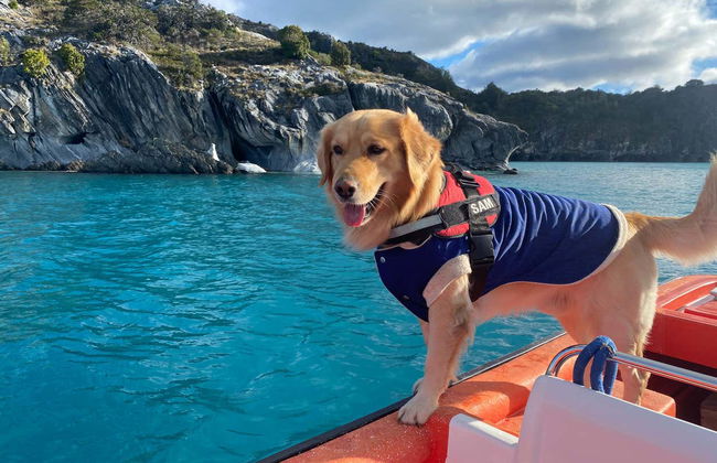 Puerto Sánchez & Marble Caverns Boat Tour - Foto 4