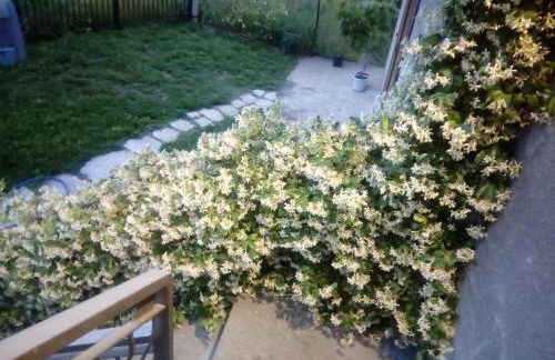 La Maison de Papagran CIR Charvensod-0007 - Foto 14