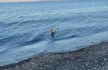 Evia Blue by Sofia - Foto 23