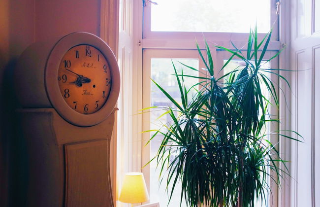 Beautiful, Artistic, Heirloom Apartment - Foto 16