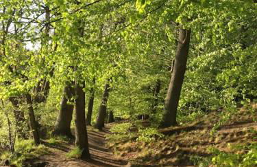 Alles am Fluss in Lüneburg - Foto 42