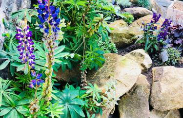 Millstream Mews - Foto 56