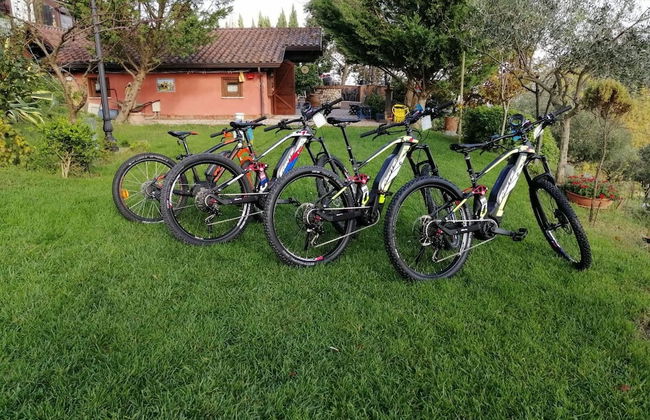 Country House Bosco d'Olmi - Foto 56