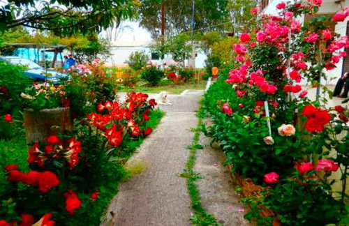 Eftichia Apartment - Foto 23