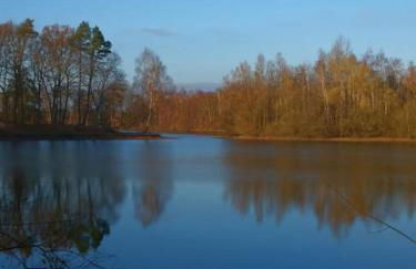 Ferienhaus mit Seeblick - Photo 3