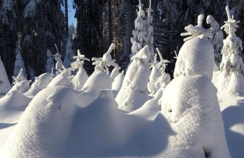 Waldhaus Hahnenklee - Foto 47