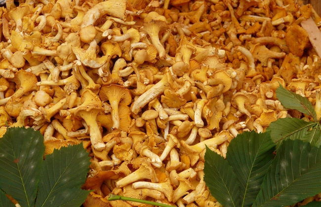 4 Person Holiday Home in Torsby - Foto 5