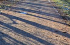 Ferienhaus Alex - Foto 8