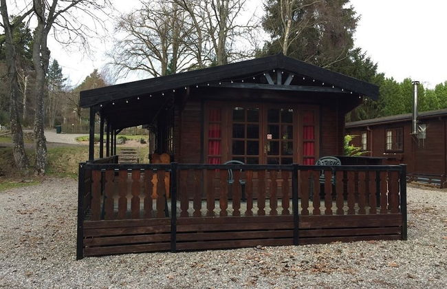 Lurchers Cabin Aviemore - Foto 21