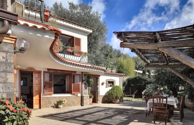 La Villa dell'Olio - Foto 1