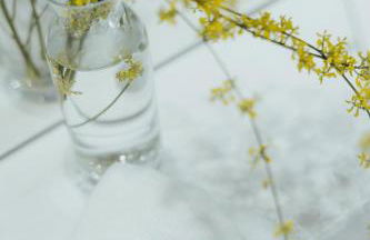 Alojamentos Plansel - No Coração das Vinhas do Alentejo - Foto 50