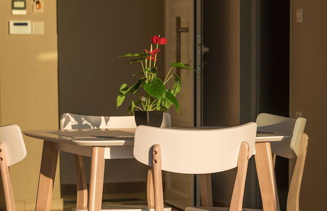 Panorama Plus - Foto 17