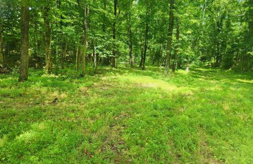 Echo Valley Outdoor Oasis Campsite - Foto 24