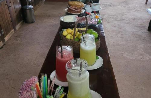 Pousada Suçuarana - Photo 55