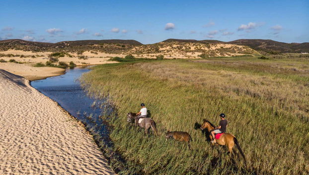 ¡Momento de galopar!