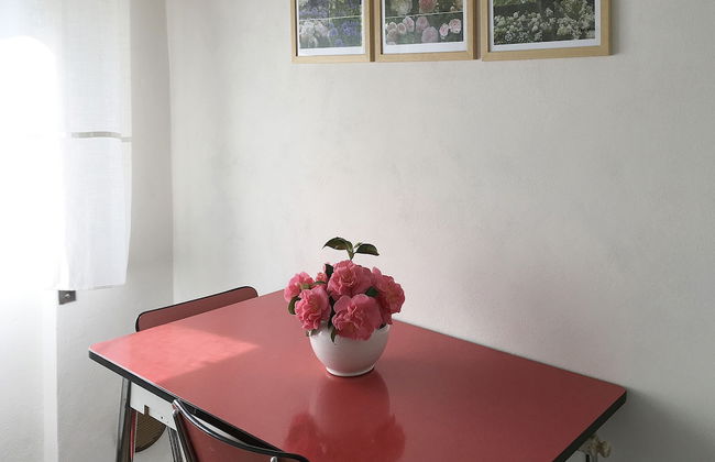 House & Garden - Foto 9