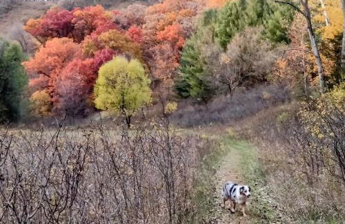 The Cottage at Journey Inn - Foto 19