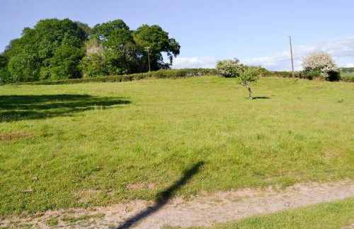 The Old Cider Mill - Foto 15