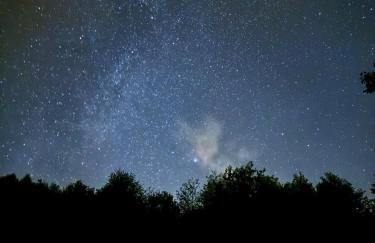 Cottage With Sauna, Pub & Terrace - Foto 4