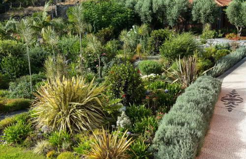 Luxury Ocean Front Villla - Foto 2