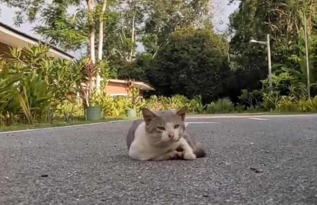 Rouhi Retreats By Doulos - Foto 70