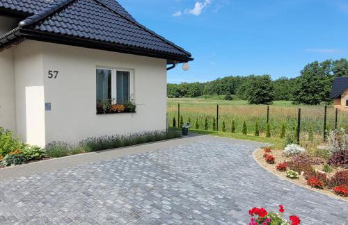 Czarna Perła - Foto 35