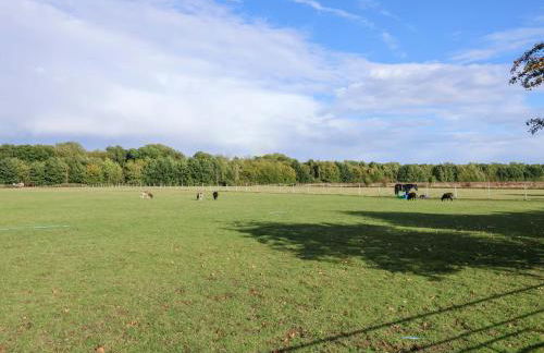 Coachman's Cottage - Foto 32