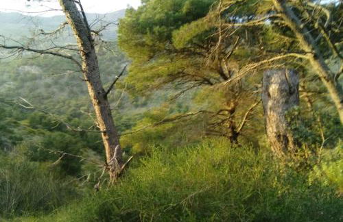 Nice apartment on the coast to relax and work - Foto 50