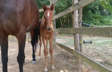 Dimora Filippo - Foto 25