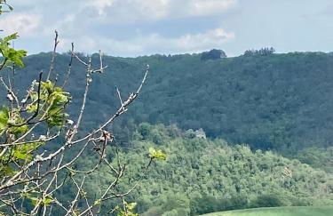 Haus Dorfidyll - Foto 36