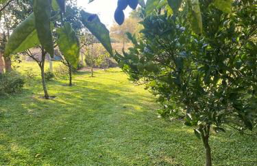 Welcoming house with terrace and garden in Barra de Mira - Foto 51